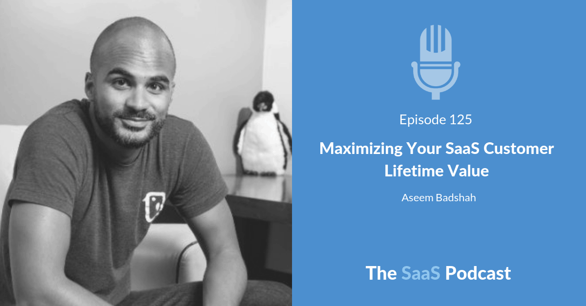 saas customer lifetime value - Aseem Badshah